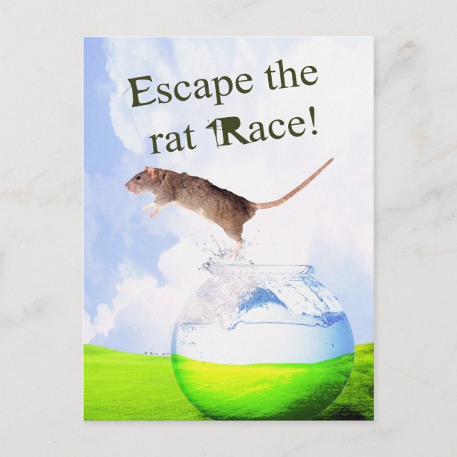 Escape The Rat Race! Postcard (Front)