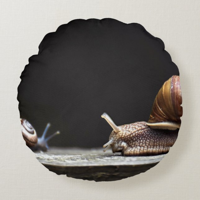 Escargots - Snail Mollusk Round Pillow (Front)