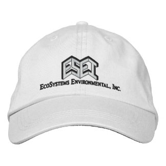 ESEI Black Letters Embroidered Baseball Cap