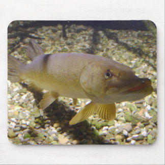 Esox lucius mouse pad