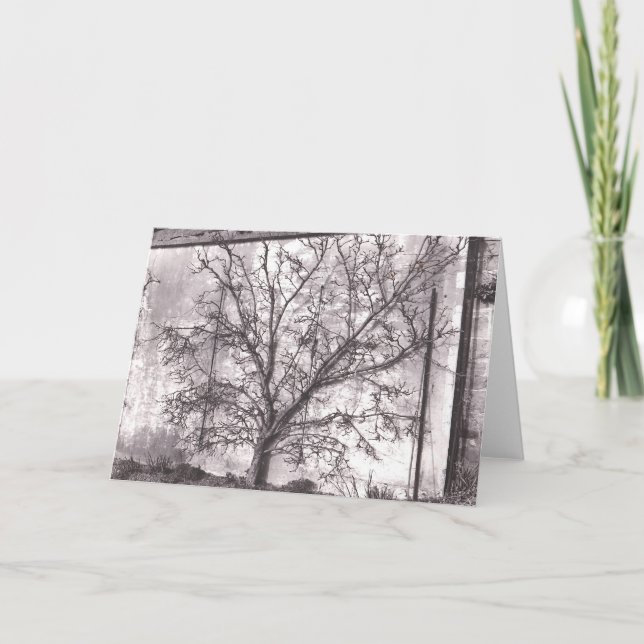 Espalier Card (Front)