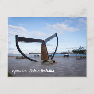 Esperance Esplanade Western Australia Postcard