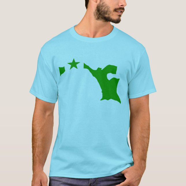 Esperanto flag map T-Shirt (Front)