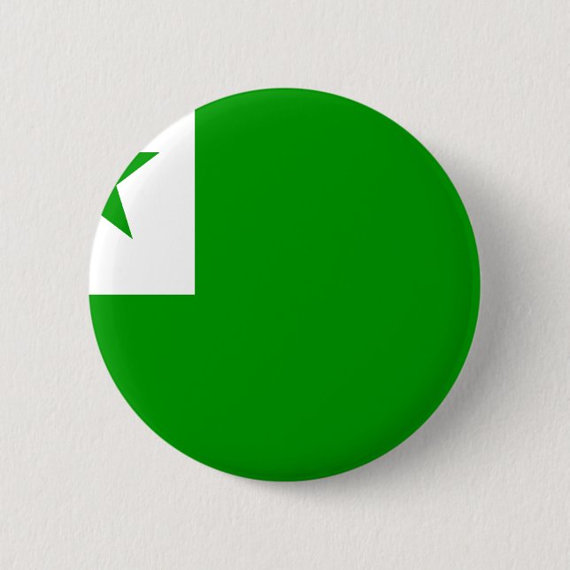Esperanto Flag Pinback Button (Front)