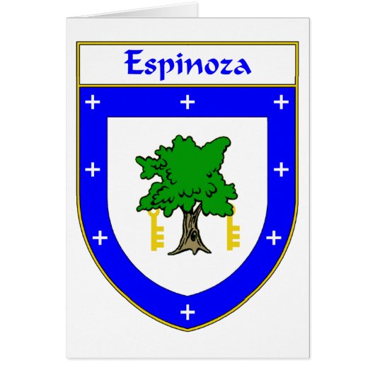 Espinoza Coat of Arms/Family Crest (Front)