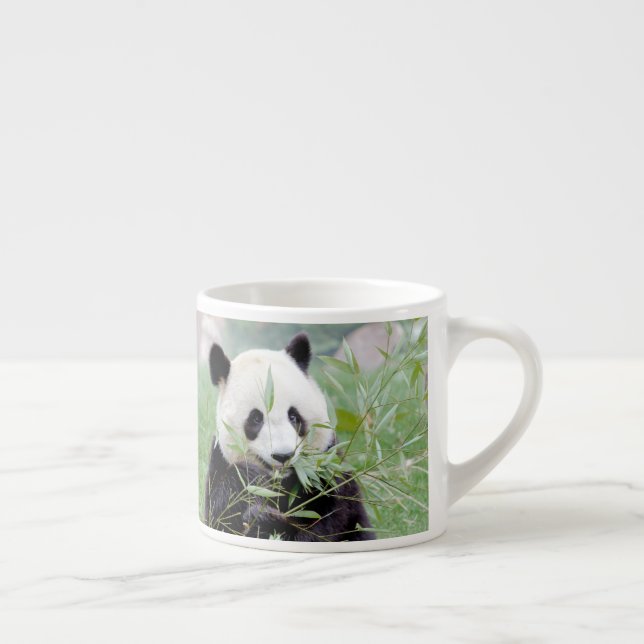espresso cup Photo giant panda. (Right)