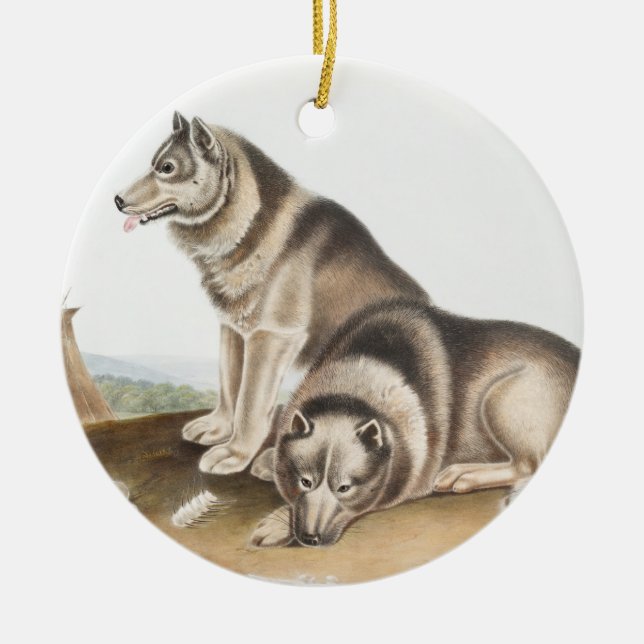 Esquimaux Dog (Canis familiaris) Illustration Ceramic Ornament (Front)