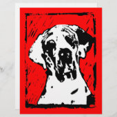 Esra Harlekin Great Dane (Front/Back)