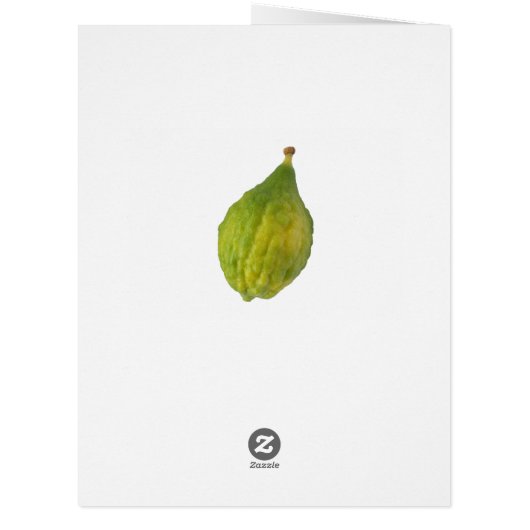 Esrog - Etrog - Write Your Own Text (Back)