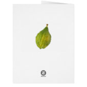 Esrog - Etrog - Write Your Own Text Cards (Back)