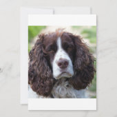 ESS liver white second (Front)