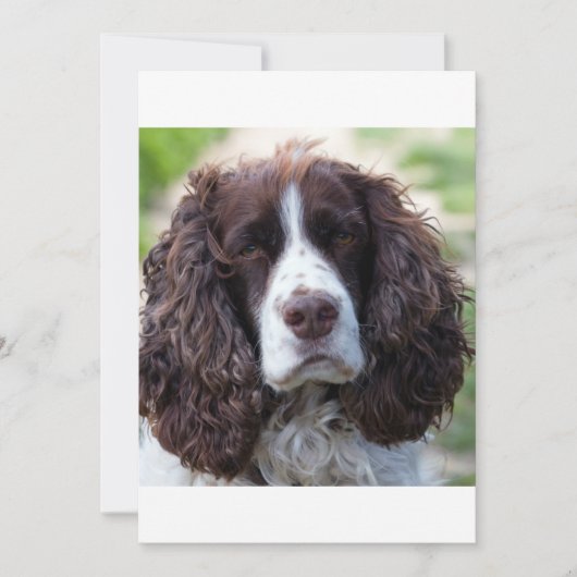 ESS liver white second (Front)