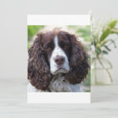 ESS liver white second (Standing Front)