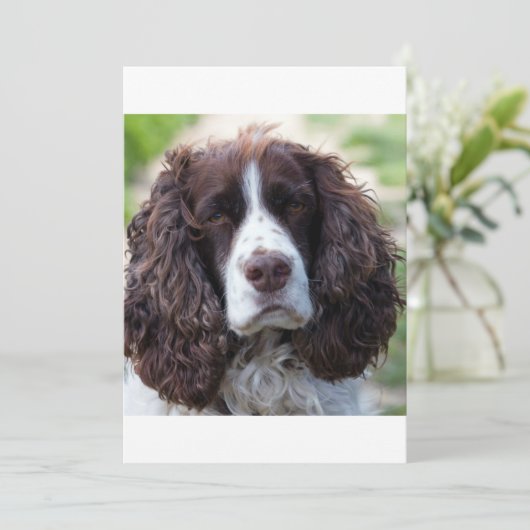 ESS liver white second (Standing Front)