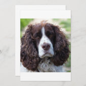 ESS liver white second (Front/Back)