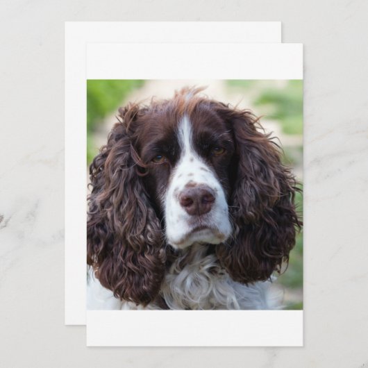 ESS liver white second (Front/Back)