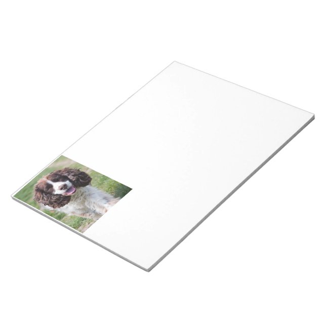 ess walking notepad (Angled)