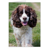 ess walking.png (Front)