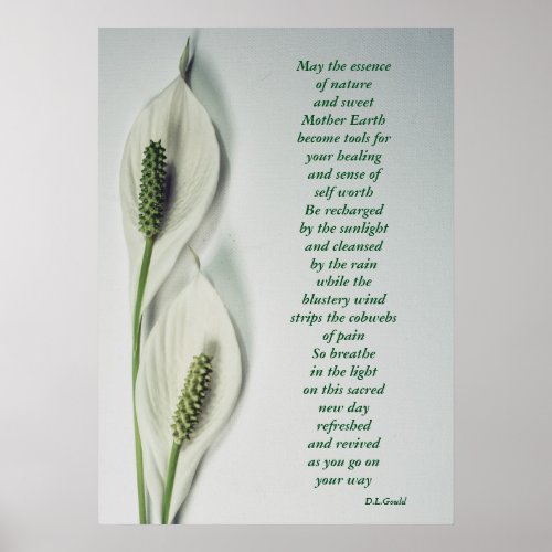 Essence of Nature Poster