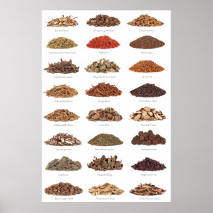 essenstial spices and herbals list all homes poster