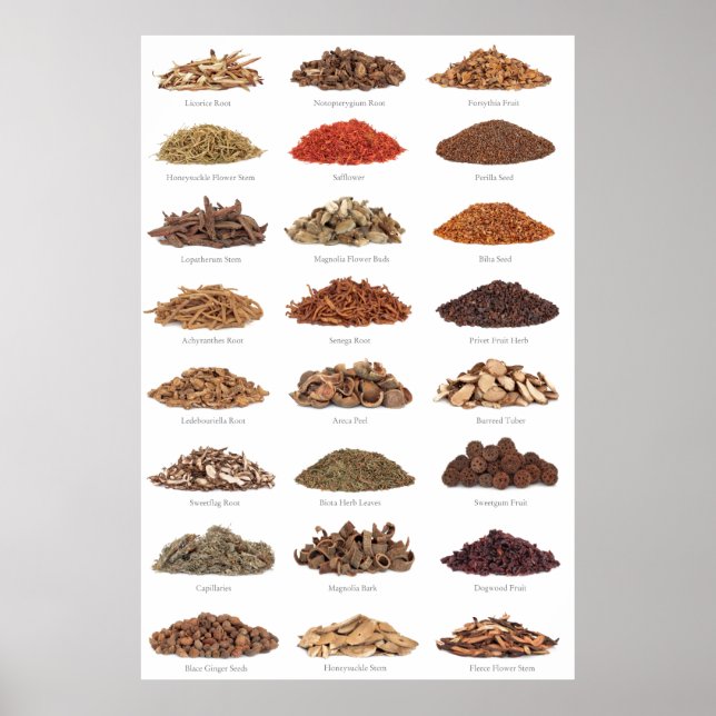 essenstial spices and herbals list all homes poster (Front)