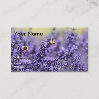 Essential Oil Business Cards with Lavender