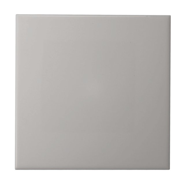 Essentially Gray Square Kitchen and Bathroom Ceramic Tile (Front)