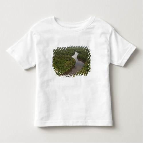 Essequibo River longest river in Guyana and 5 Toddler T_shirt