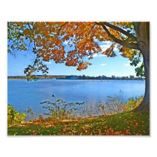 Essex In Autumn Photo Print