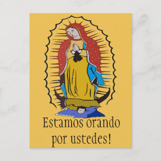 Estamos orando por ustedes! Virgin of Guadalupe Postcard