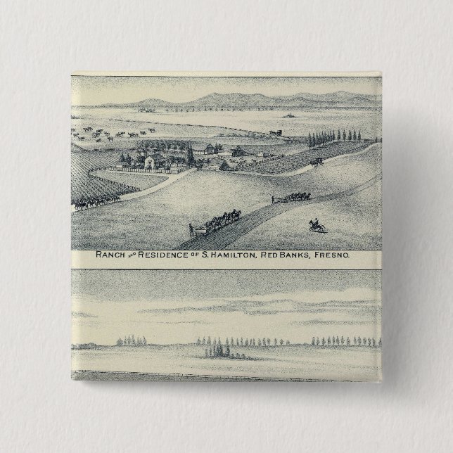 Estella Blanca Vineyard, California Pinback Button (Front)