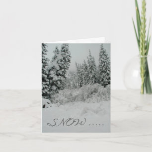 Estes Park, Colorado Holiday Card