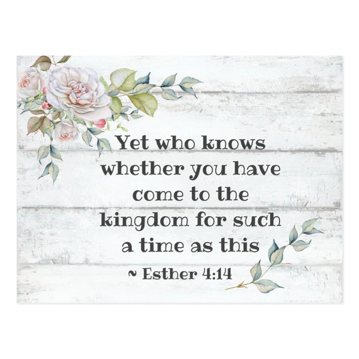 Esther 4 14 Come To The Kingdom For Such A Time Postcard Zazzle Com On our website you will find everything for a beautiful steam profile design! esther 4 14 come to the kingdom for such a time postcard zazzle com