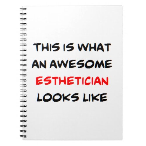 esthetician awesome notebook