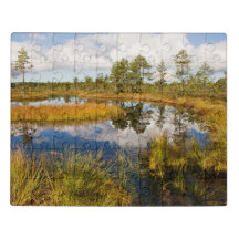 Estonia bog Viru raba