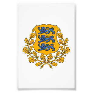 Estonia country coat arms symbol emblem flag photo print