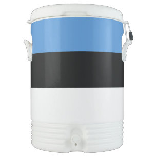 Estonia Flag Beverage Cooler