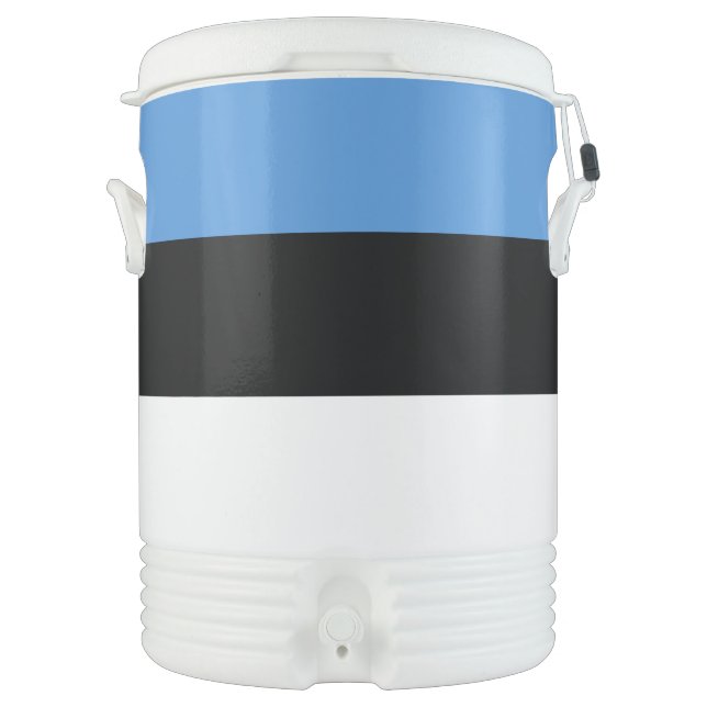 Estonia Flag Beverage Cooler (Front)