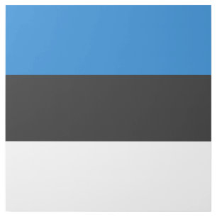 Estonia flag gallery wrap