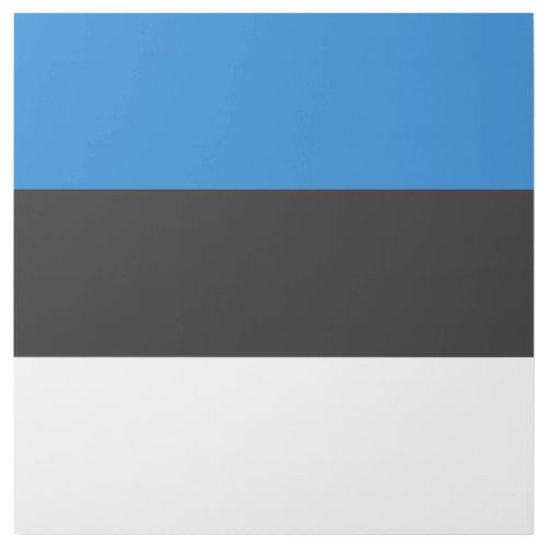 Estonia flag gallery wrap