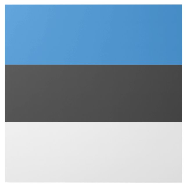Estonia flag gallery wrap (Front)