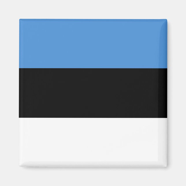 Estonia Flag Magnet (Front)