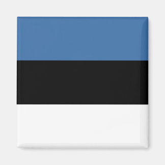 Estonia Flag Magnet