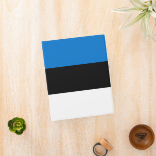 Estonia flag mini binder