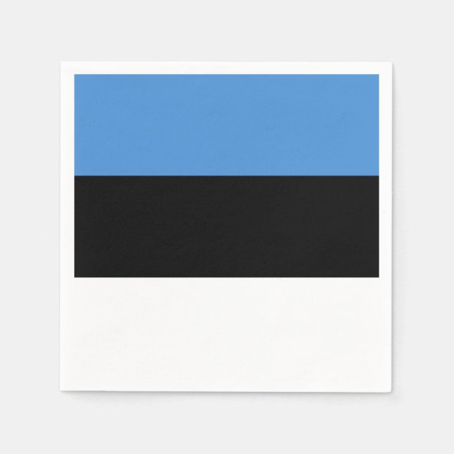 Estonia Flag Napkins (Front)
