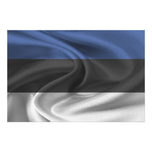 Estonia Flag Photo Print