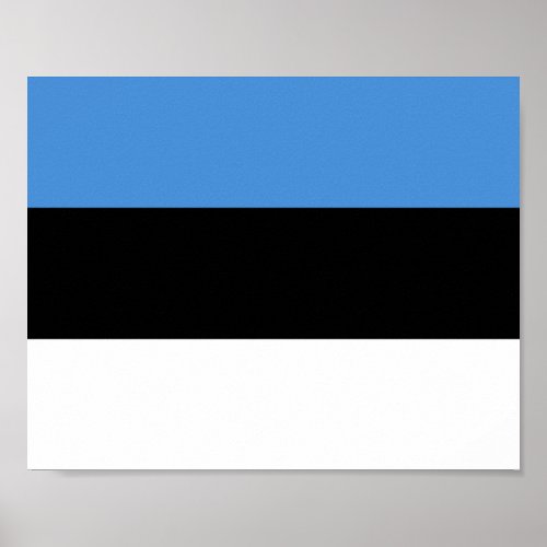 Estonia Flag Poster
