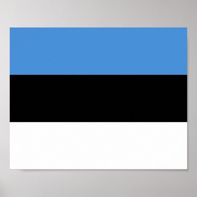 Estonia Flag Poster (Front)