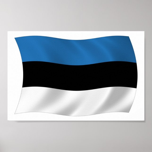 Estonia Flag Poster Print (Front)