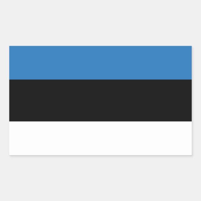 Estonia flag rectangular sticker (Front)
